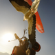 Illustration for article titled Parahawking: An Actual Sport That Mixes Paragliding And GIANT BIRDS